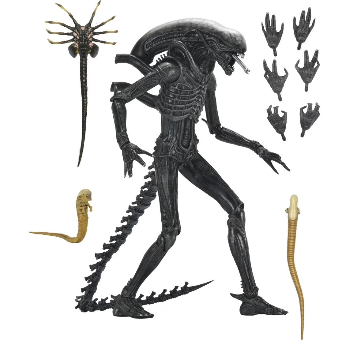 NECA Alien: Romulus - Ultimate Xenomorph XX121