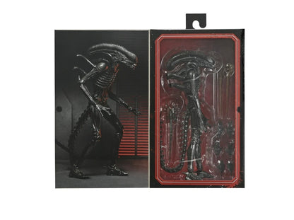 NECA Alien: Romulus - Ultimate Xenomorph XX121